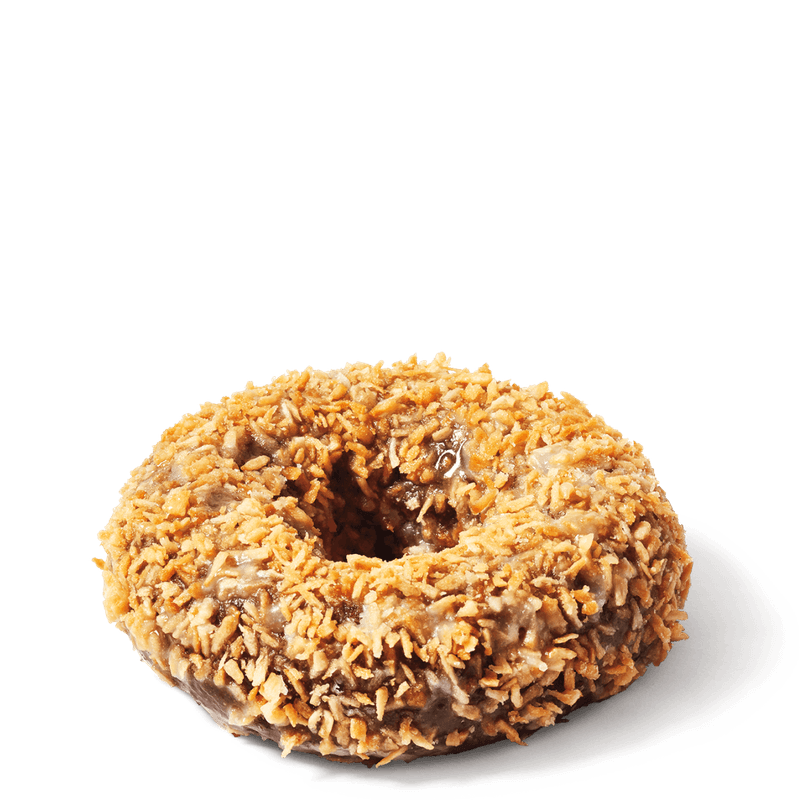 Chocolate Toasted Coconut Donut